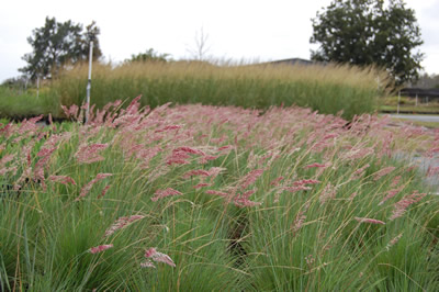Floraland Farms & Nurseries