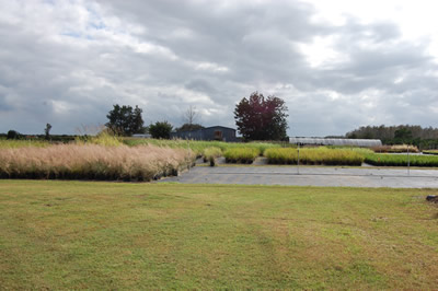 Floraland Farms & Nurseries