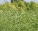 Floraland Farms & Nurseries