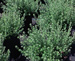 Floraland Farms & Nurseries